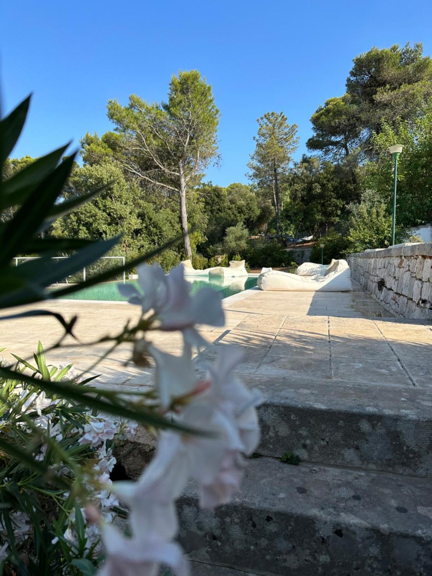 Bed and Breakfast Il Trullo Di Simona Локоротондо Экстерьер фото
