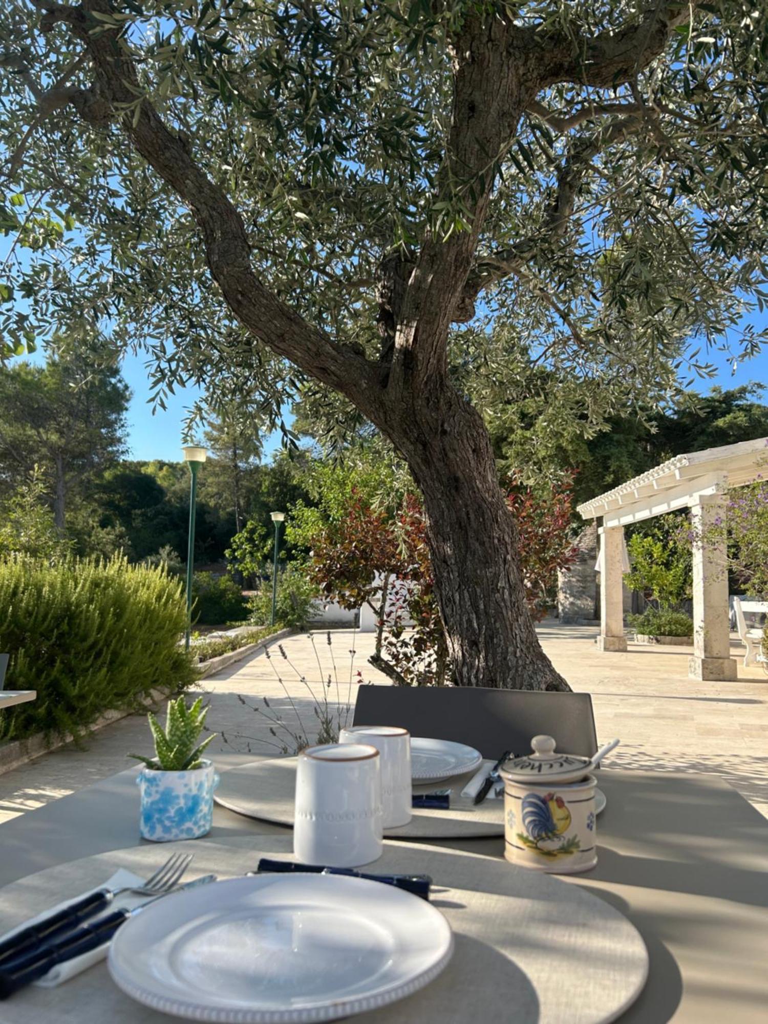 Bed and Breakfast Il Trullo Di Simona Локоротондо Экстерьер фото